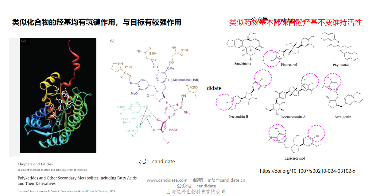 案例展示