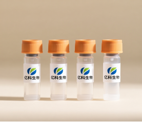 通用组织单细胞解离试剂盒